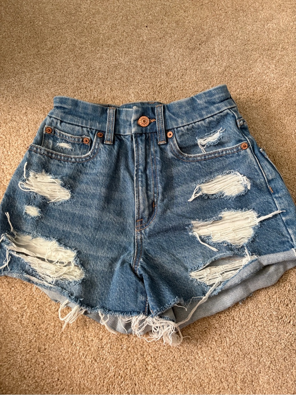 American Eagle Curvy 90s Boyfriend Shorts Embroidered Floral Distressed 00 23
